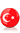 Türk